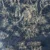 Savane